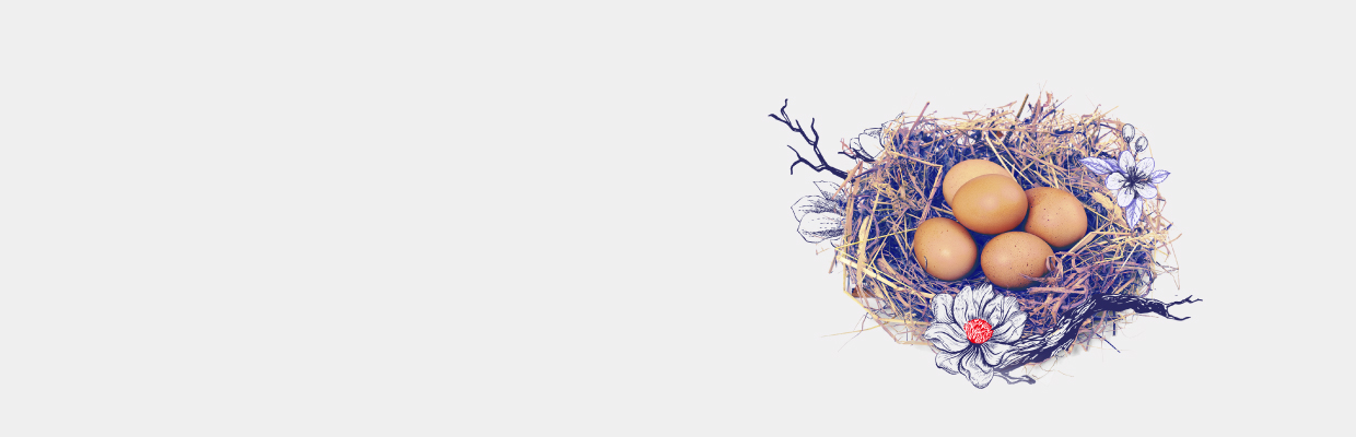 Some eggs in one nest; image used for HSBC family wealth page.