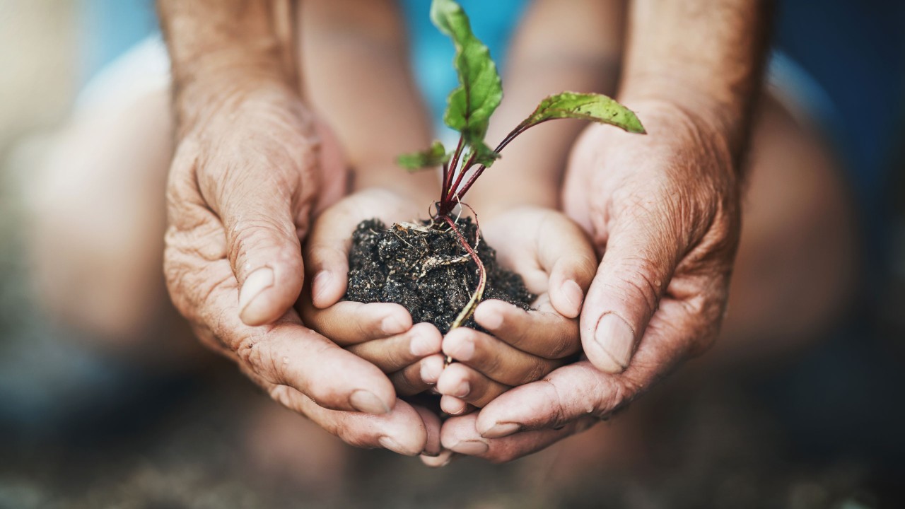 A kid is carefully holding a seedling; image used HSBC Taiwan i-Invest for Unit Trust page.